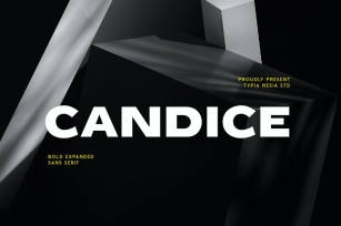 Candice - Heavy Bold Expanded Display Game Sans Font Download