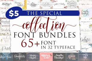The Special Collection Bundles Font Download