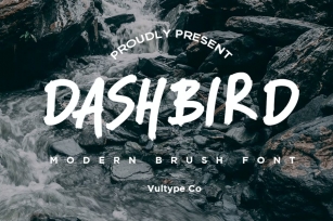 Dashbird - Brush Font Font Download