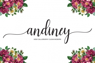 Andiney Script Font Download