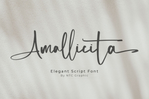 Amallicita - Elegant Script Font Font Download