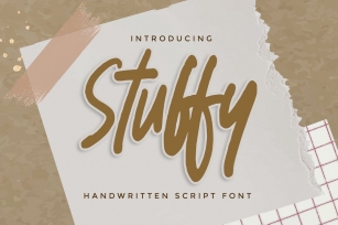 Stuffy - Handwritten Script Font Font Download