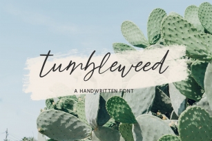 Tumbleweed Script Font Download