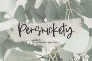 Persnickety Script Font Download