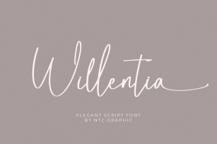 Willentia - Elegant Script Font Font Download