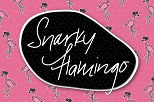 Snarky Flamingo Hand Lettered Font Download