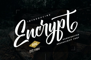 Encrypt | Handcrafted Brush Script Font Font Download