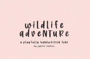 Wildlife Adventure Font (Rough Fonts, Instagram Fonts, Procreate Fonts Font Download