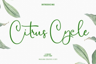 Citrus Cycle Script Font Download