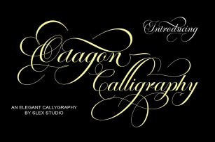 Octagon Calligraphy Font Download