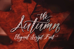Autumn Script Elegant Font Download