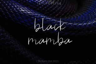 Black mamba Font Download