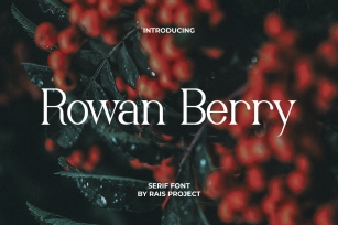 Rowan Berry Font Download