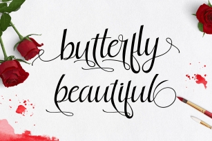 butterfly beautiful Font Download