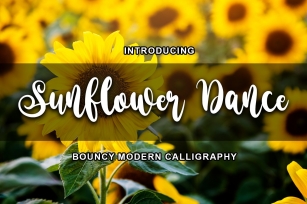 Sunflower Dance Font Download