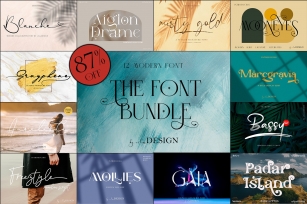 The Bundle 12 Modern Font Download