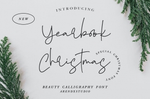 Yearbook Christmas - Beauty Calligraphy Font Font Download