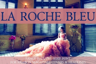 La Roche Bleu Font Download