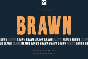 Brawn Handwritten typeface, 40 s Font Download