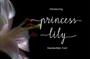 Princess Lily Font Download