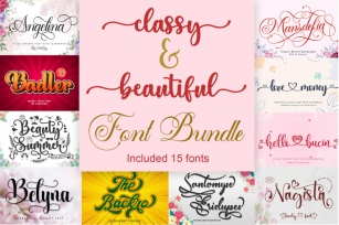 Classy & Beautiful Font Bundle Font Download