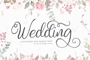 Wedding Script Font Font Download