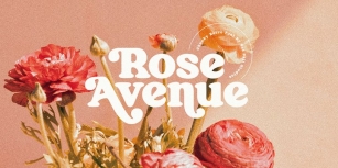 Rose Avenue Font Download