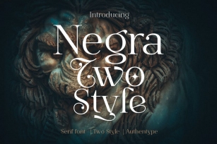 Negra - Two Style Font Font Download