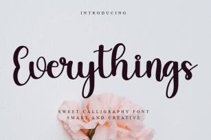 Everythings Font Download