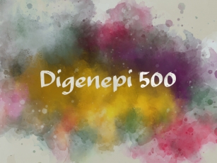 D Digenepi 500 Font Download