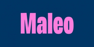 Maleo Font Download