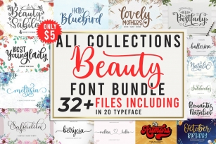 All Collections Beauty Bundle Font Download