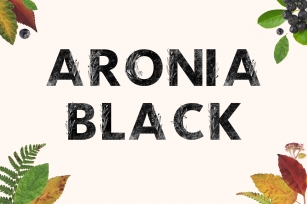 ARONIA BLACK Typeface Font Download