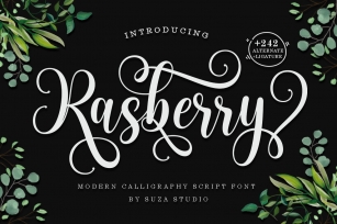 Rasberry Font Download