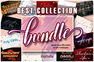 Best Collection Bundle Font Download