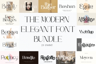 The Modern Elegant Font Font Download
