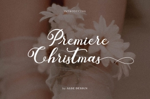 Premiere Christmas Modern Calligraphy Font Download