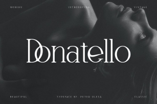 Donatello - Modern Serif Font Font Download