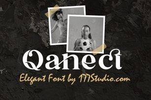 Qanect Elegant Font Download