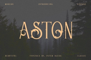Aston - Vintage Serif Font Font Download