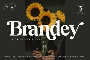 Brandy Font Download