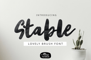 Stable Brush Font Download
