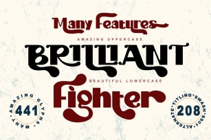 Brilliant Fighter Font Download