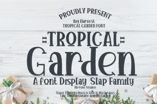 Tropical Garden Font Download