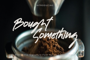 Bought Something - Signature Font Font Download