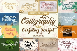 Calligraphy & Display Script Bundle Font Download