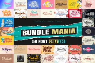 BUNDLE MANIA Font Download