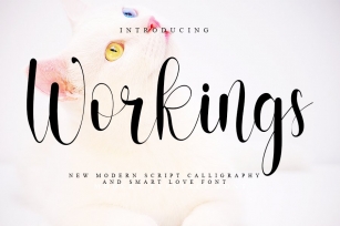 Workings Font Download