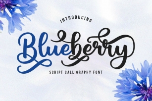 Blueberry Script Calligraphy Font Download