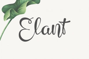 Elant Font Download
